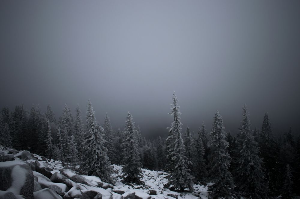 Хребет Кумардак