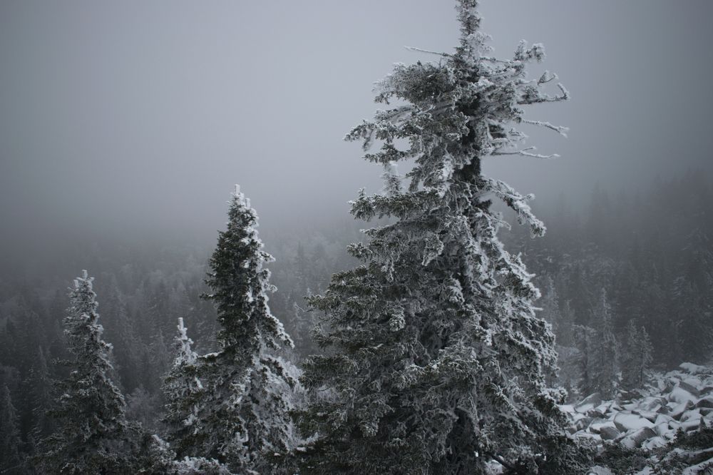 На склонах хребта Кумардак