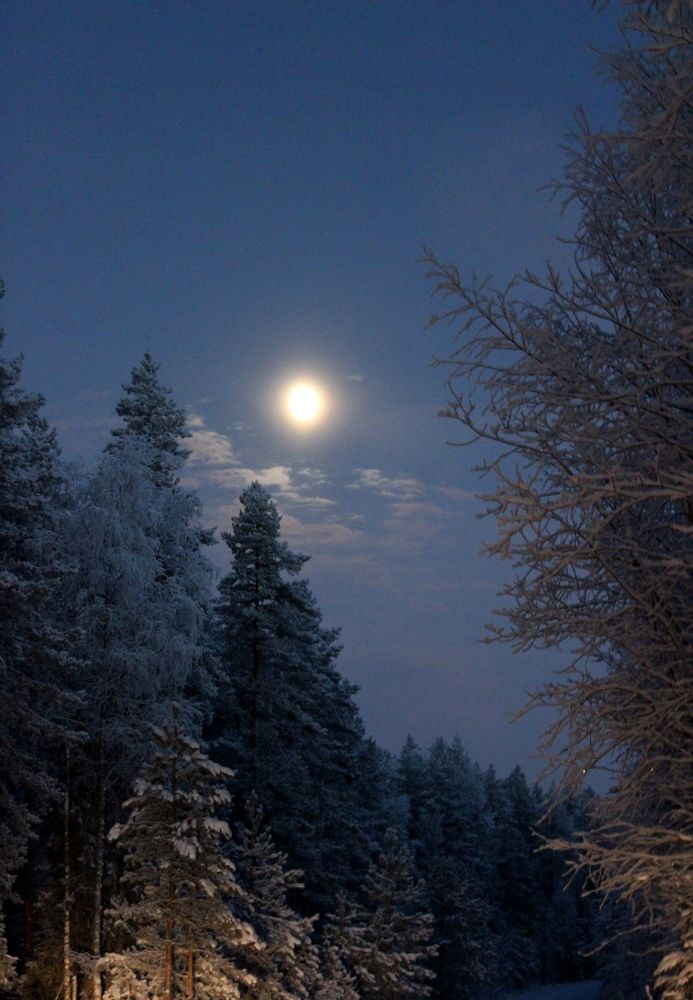 Зимняя ночь над Карелией