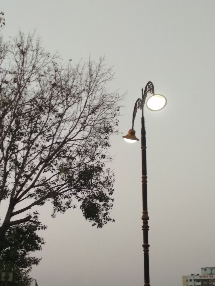Tree lights