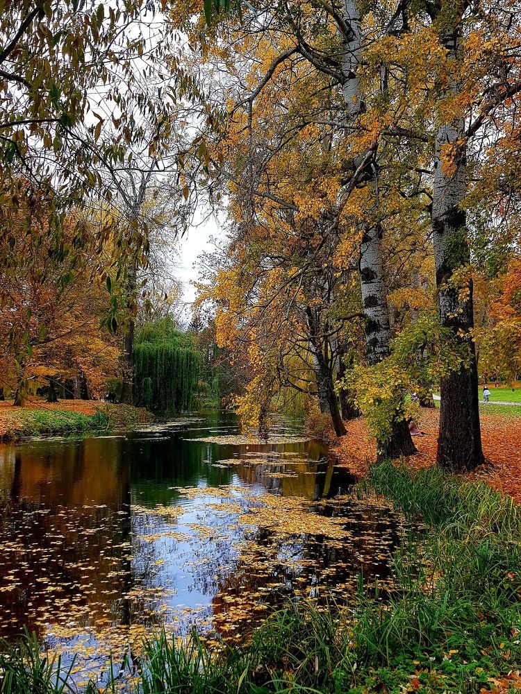 Photograph by Татьяна Василенко