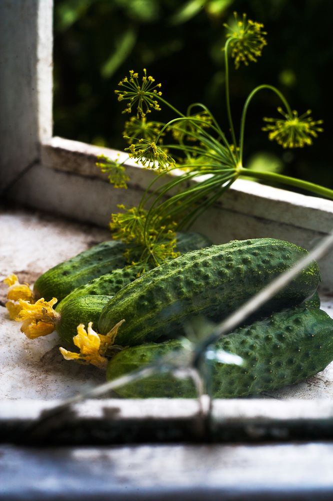 Простые радости