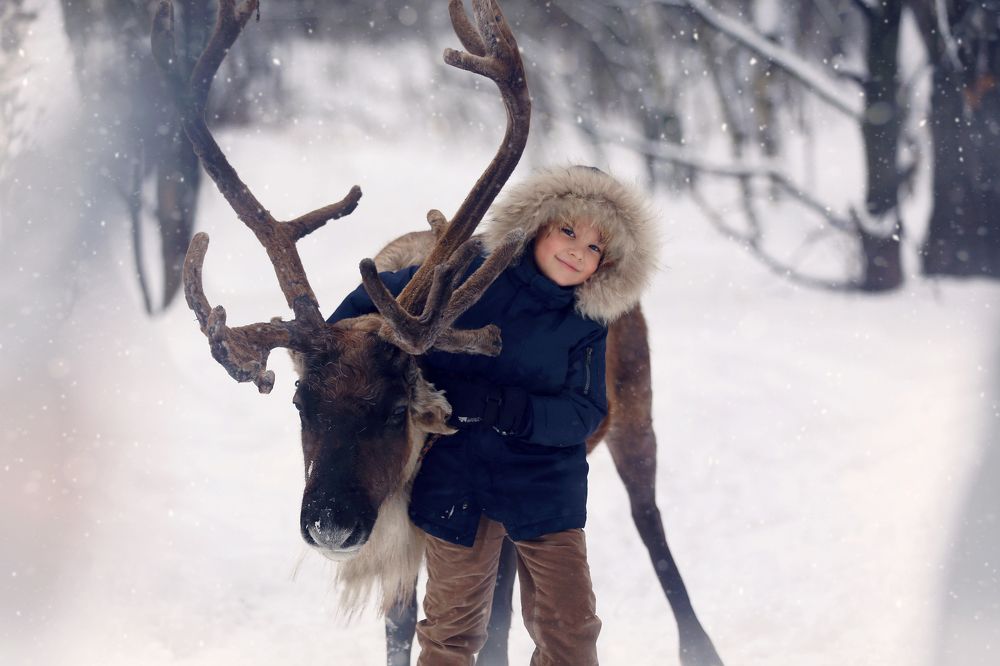 Северные истории