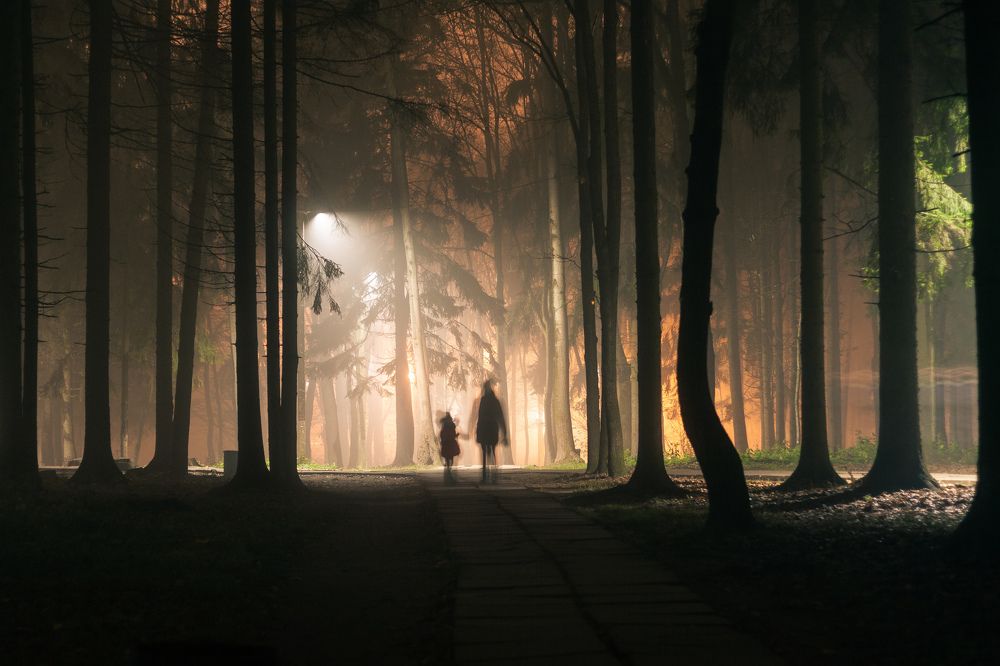 Двое в тумане