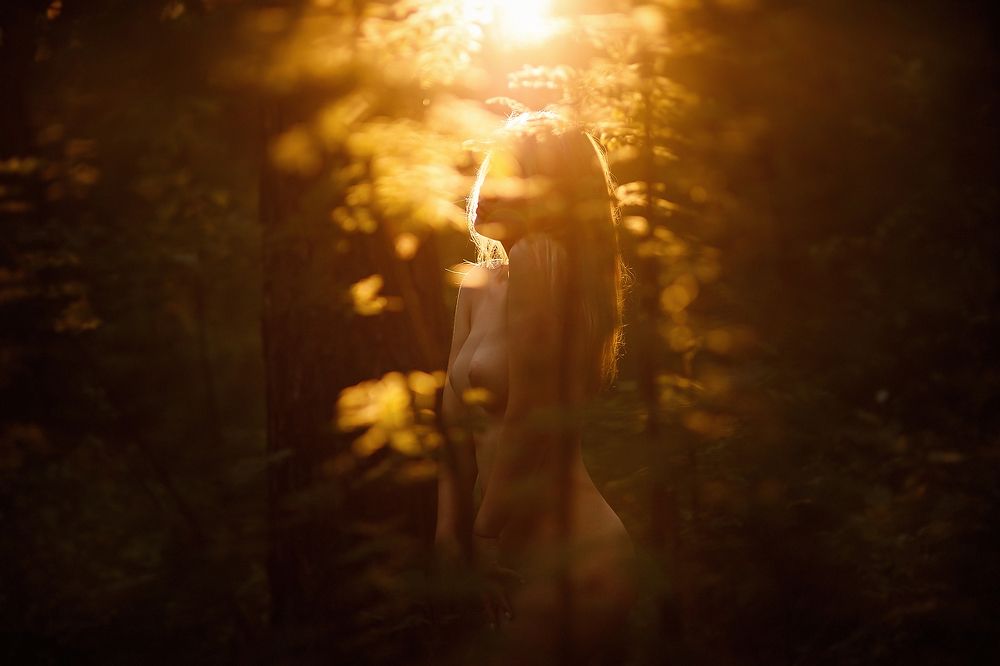 В лучах заката