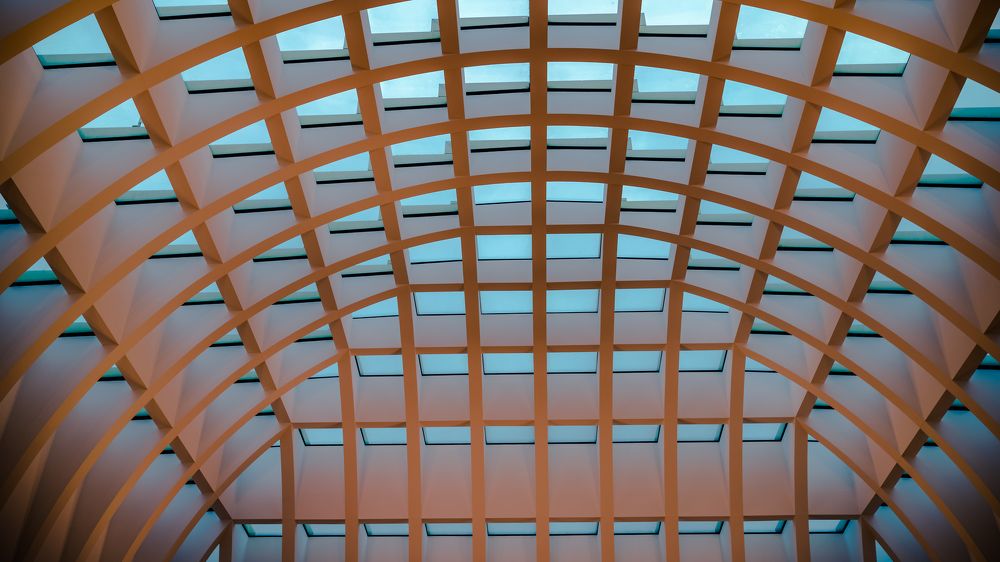 Профильный купол