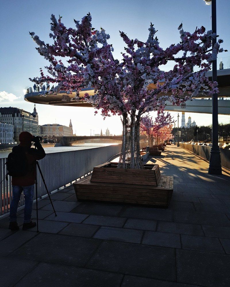 Photograph by Светлана