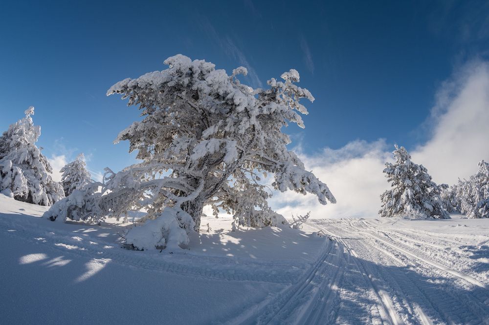 Photograph by Вадим К