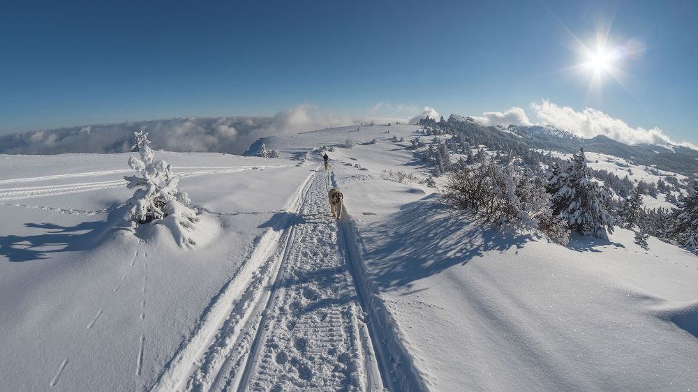 Photograph by Вадим К