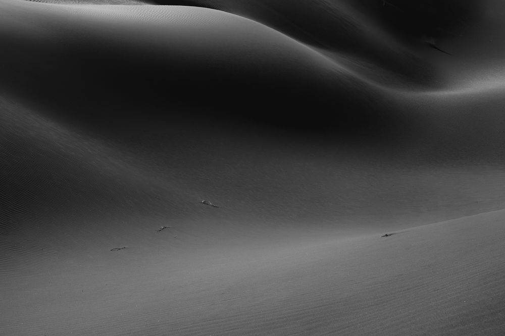 Form in desert