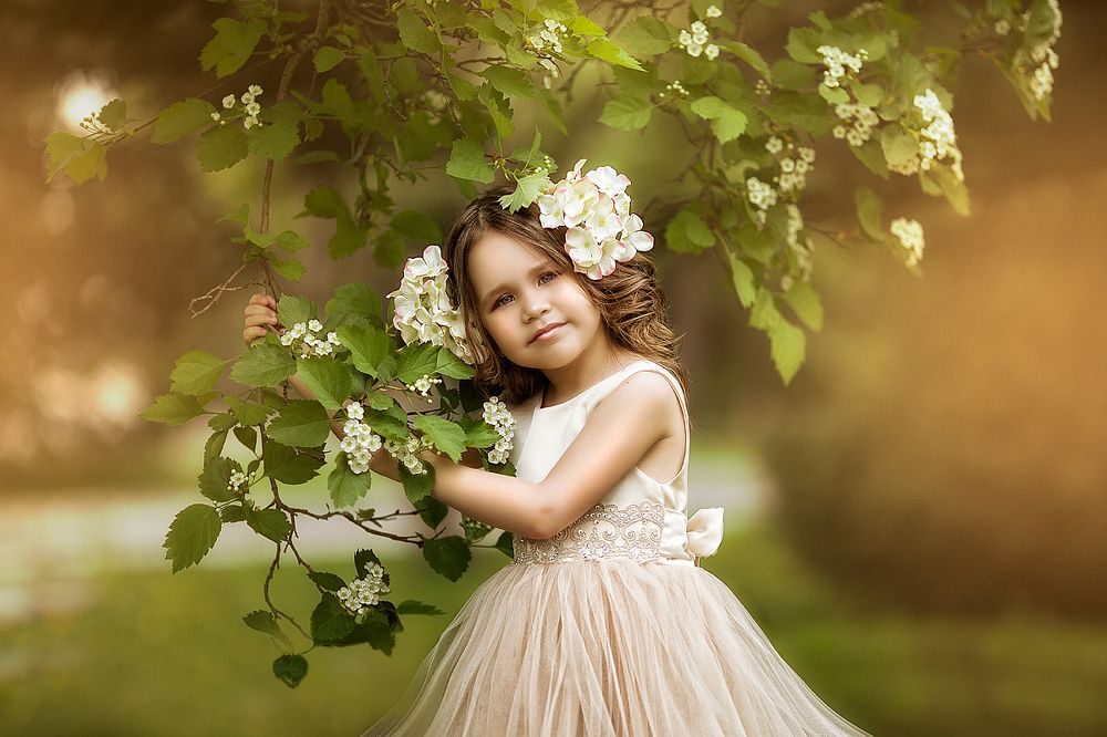 Цветы жизни