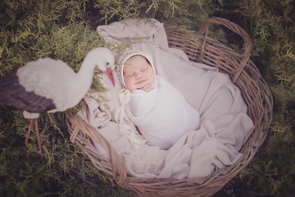 Доставка по назначению