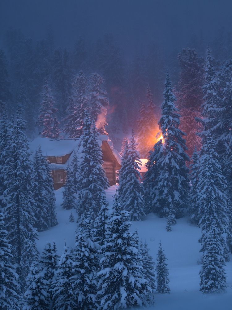 Ранним утром в тайге