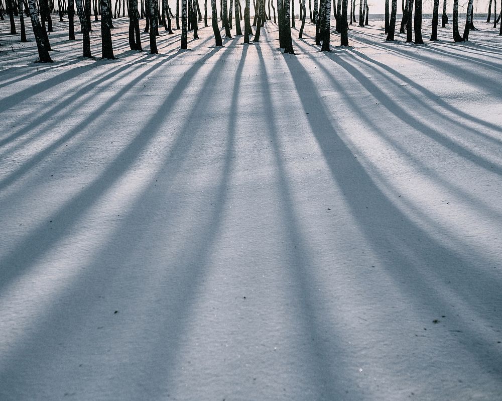 Photograph by Dmitriy Adamenko