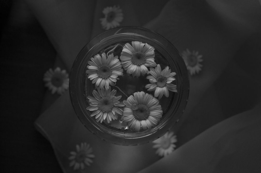 Photograph by Цыкина Ирина