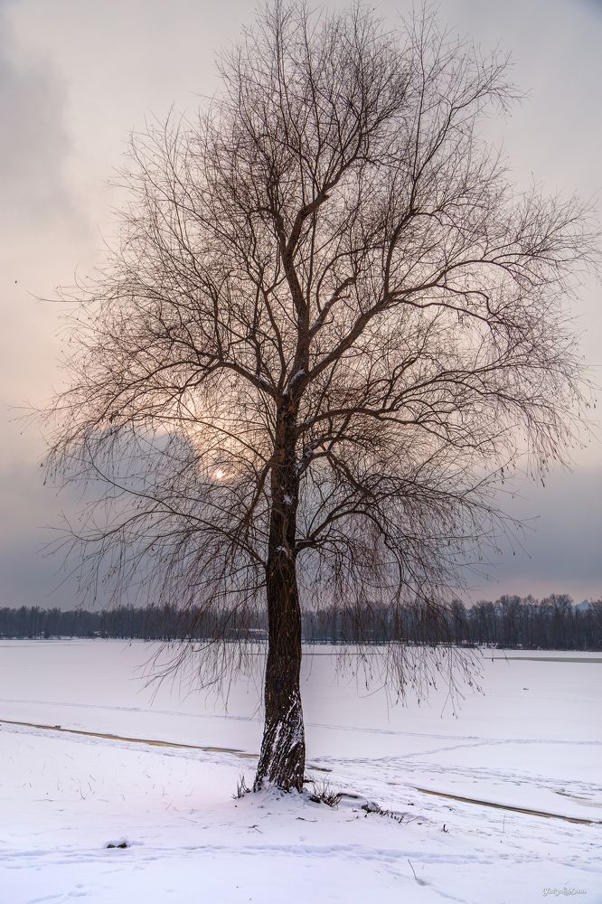 Photograph by Юлия Карась