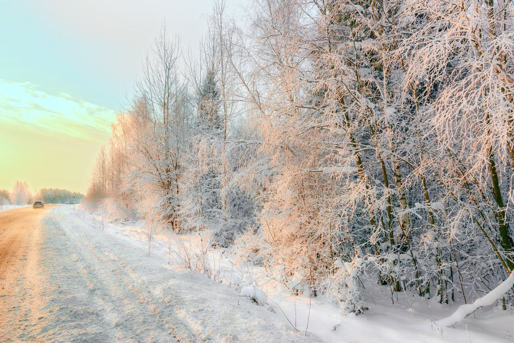 Розовый январский полдень / Pink january noon