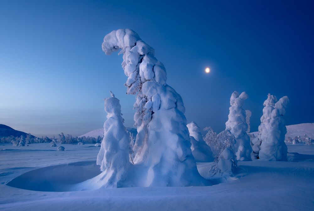 Под белым покрывалом января