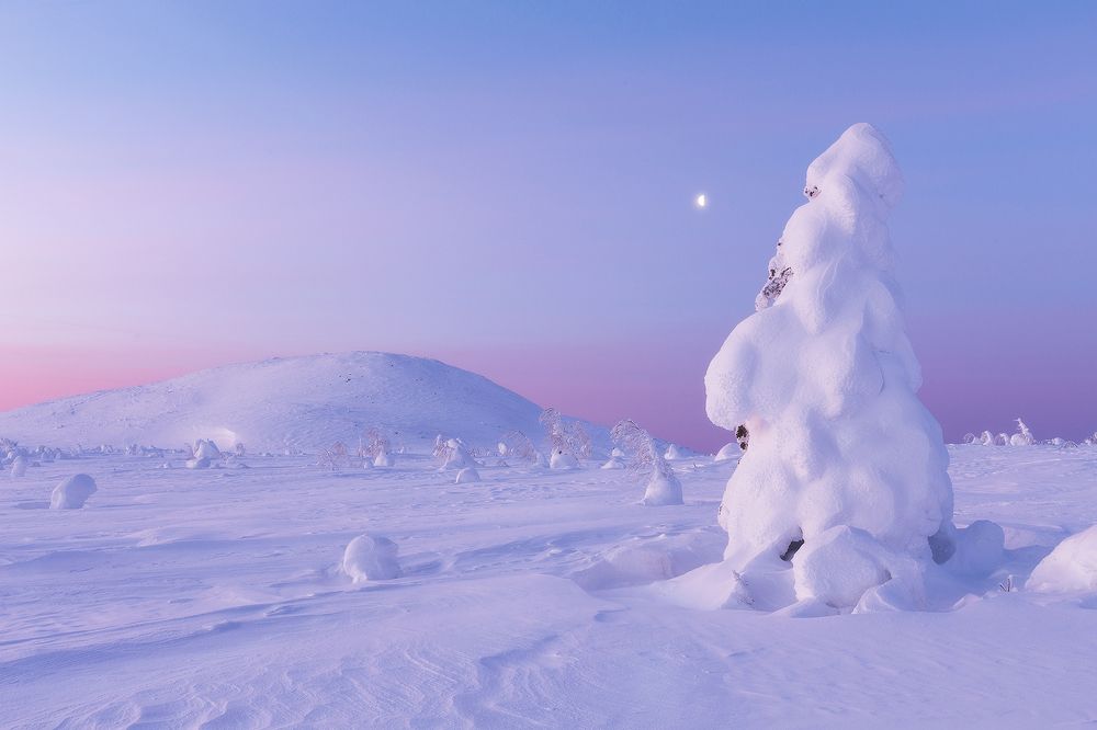 Северный Урал. Утро.