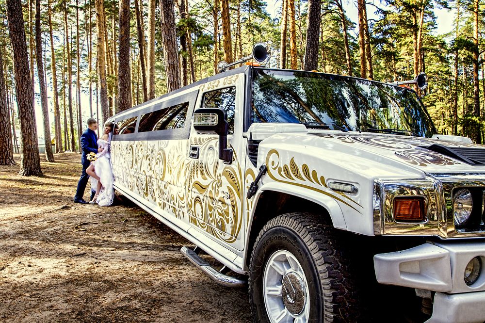 Фотография автора Юлия Малютина