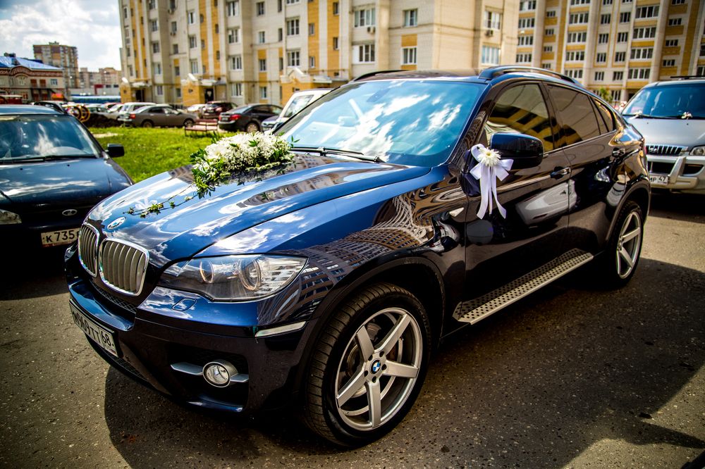 Фотография автора Юлия Малютина