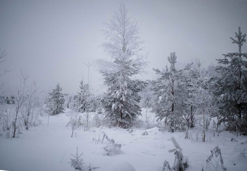 Зима на Кунгурских просторах