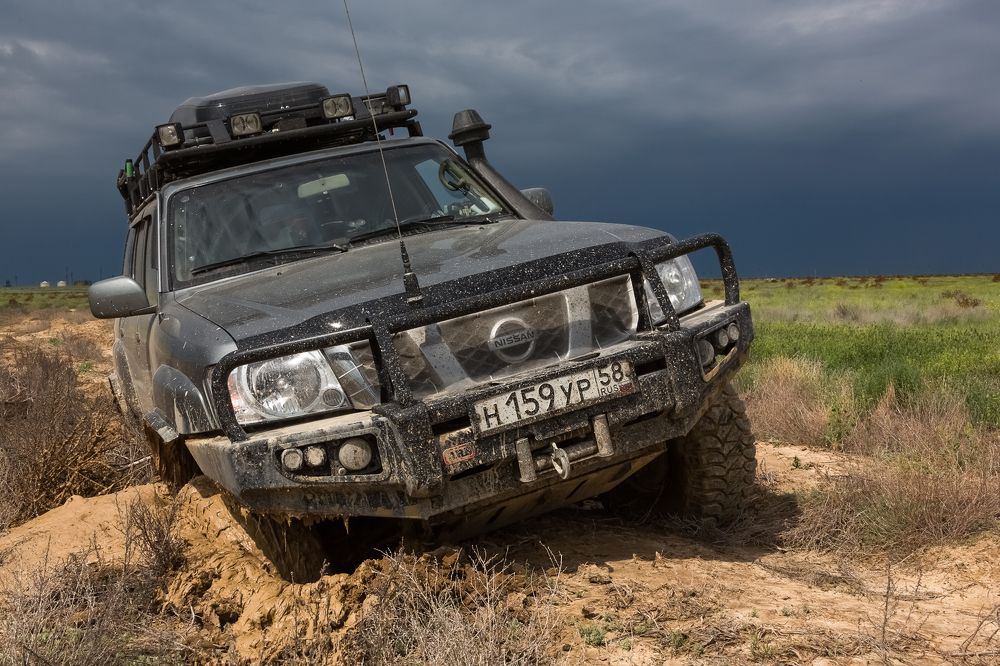 Степной сюрприз.