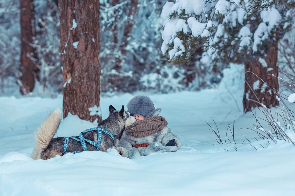 Встреча в лесу