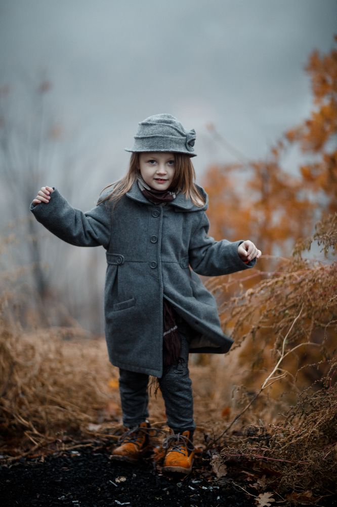 в туманном лесу