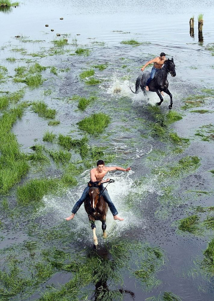Скачки по воде