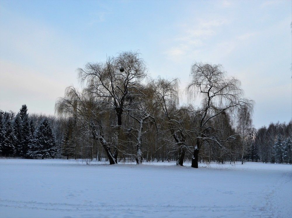 Photograph by Татьяна Василенко