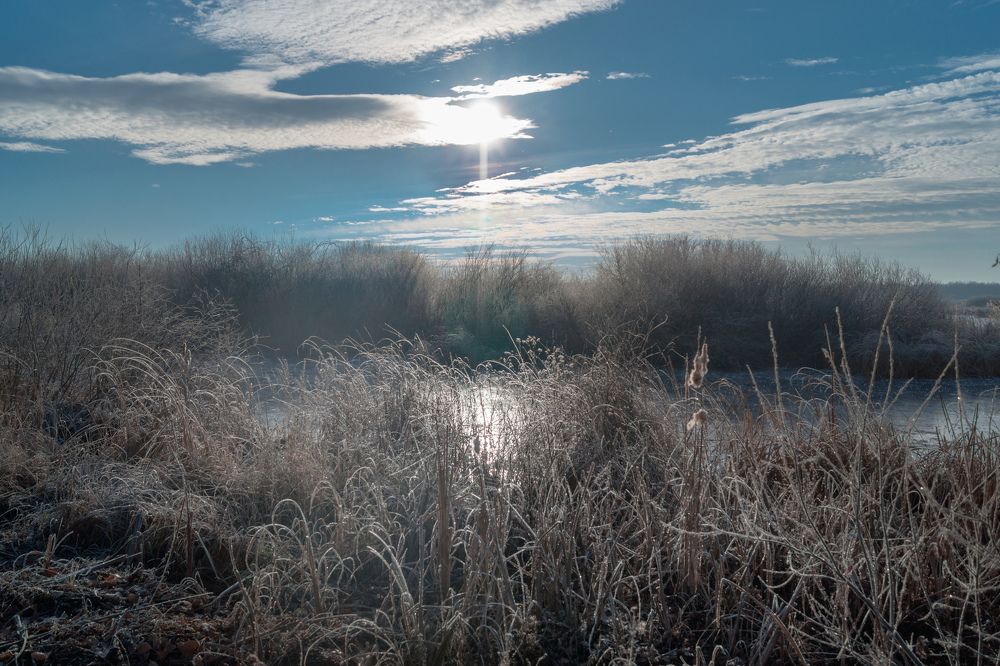ЗИМНЕЕ ЗАОЗЁРЬЕ