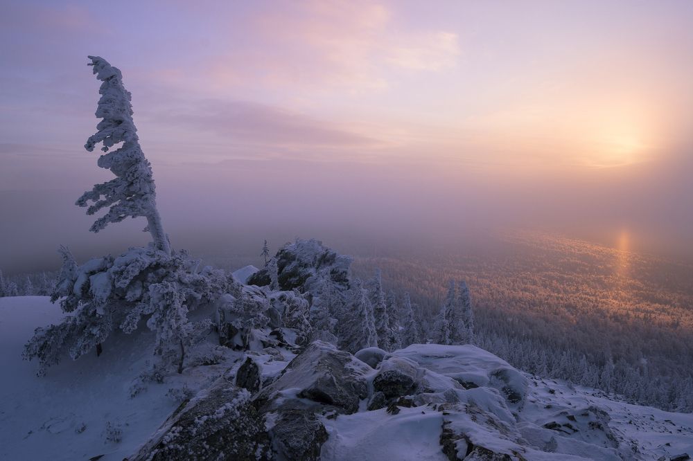 Сквозь мглу