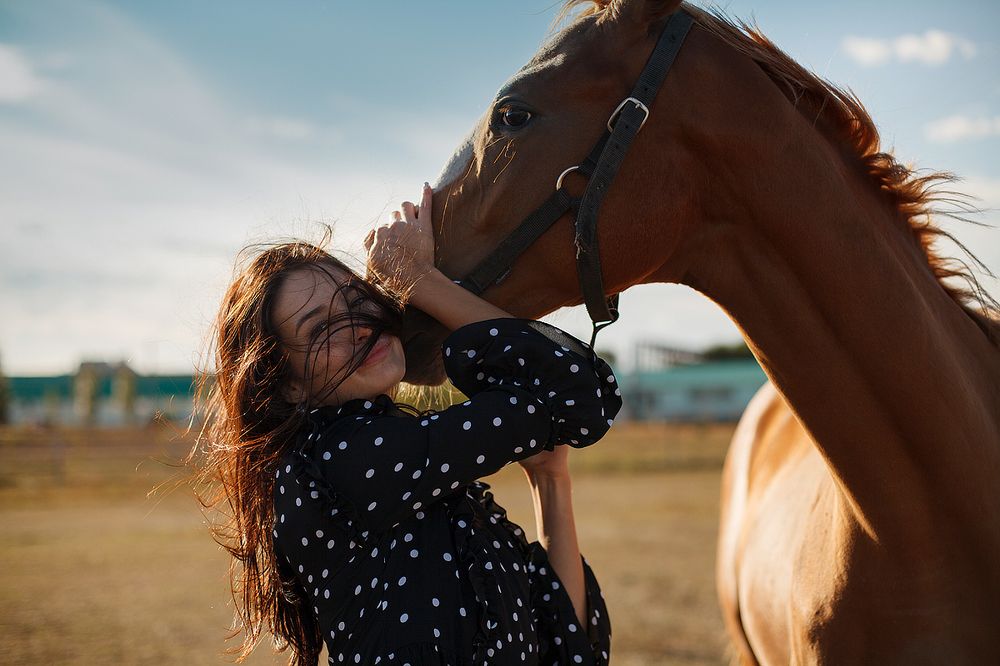 Любовь без слов