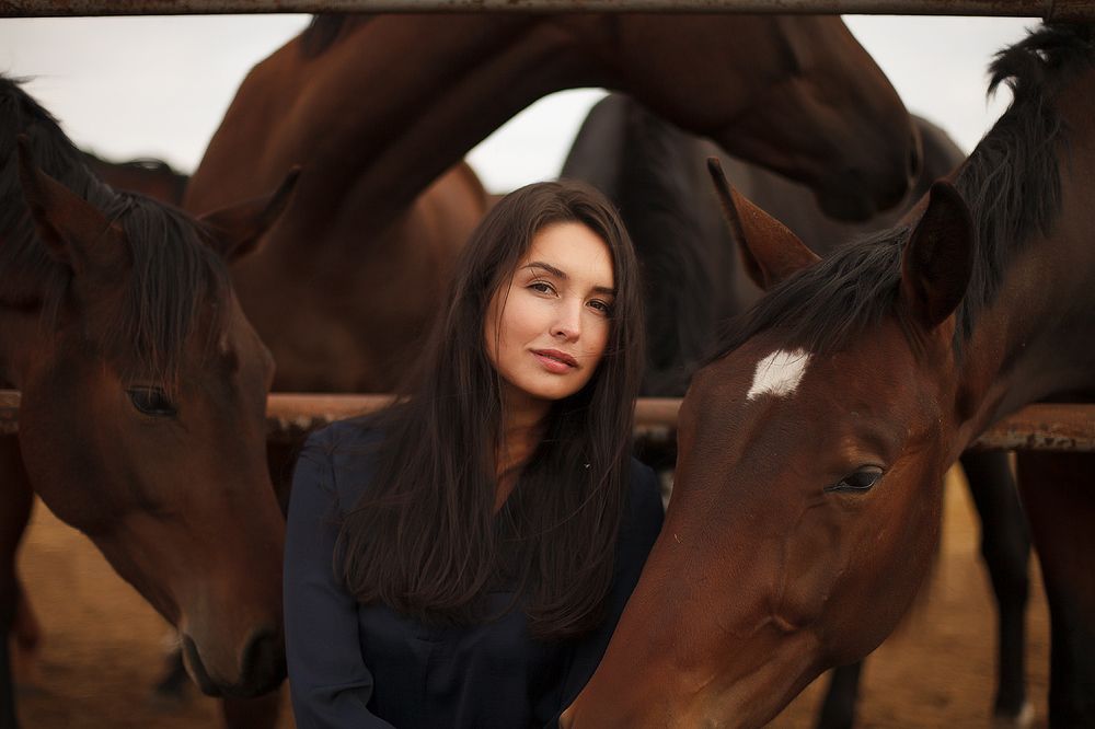 Любовь и лошади