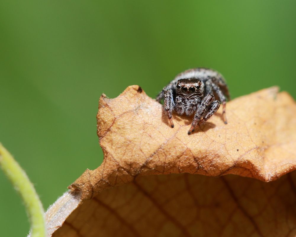 Photograph by Елена Красавина