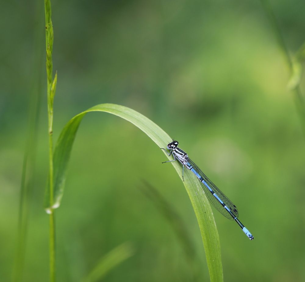 Photograph by Елена Красавина