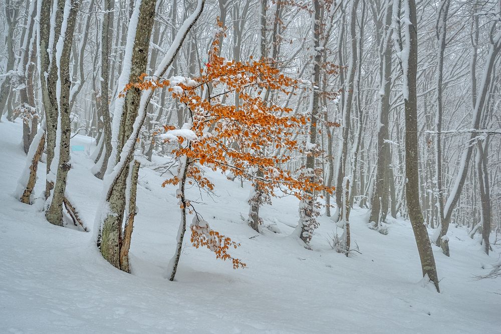 зимние виды Крыма # 31