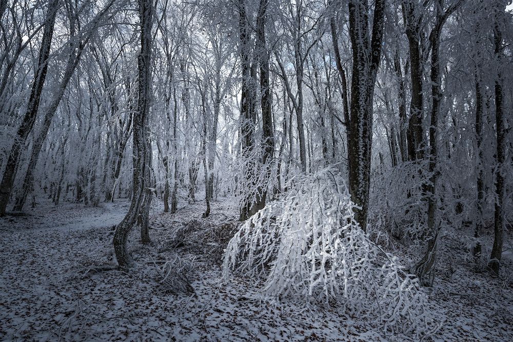 зимние виды Крыма # 32