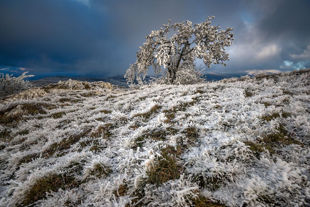 зимние виды Крыма # 33