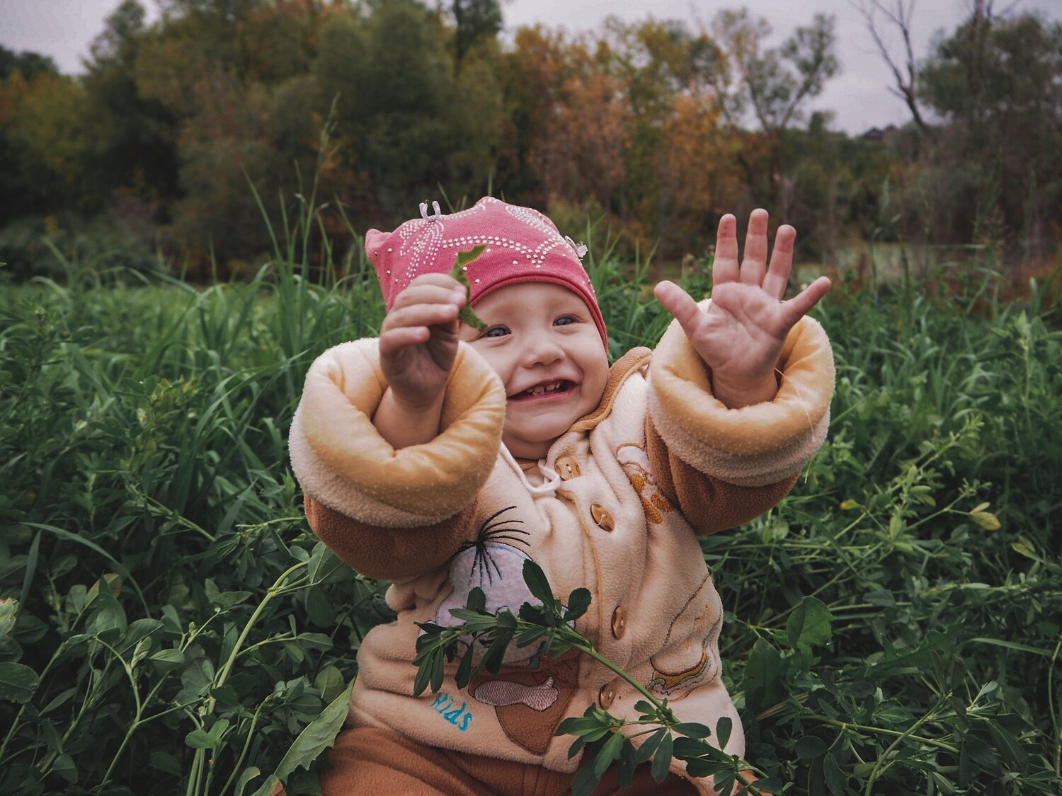 Photo #2925612