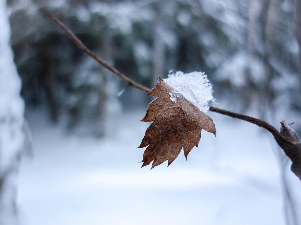 Ничто не вечно