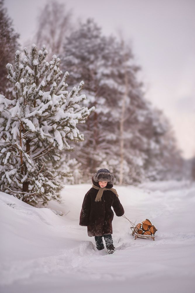 Вязанка дров