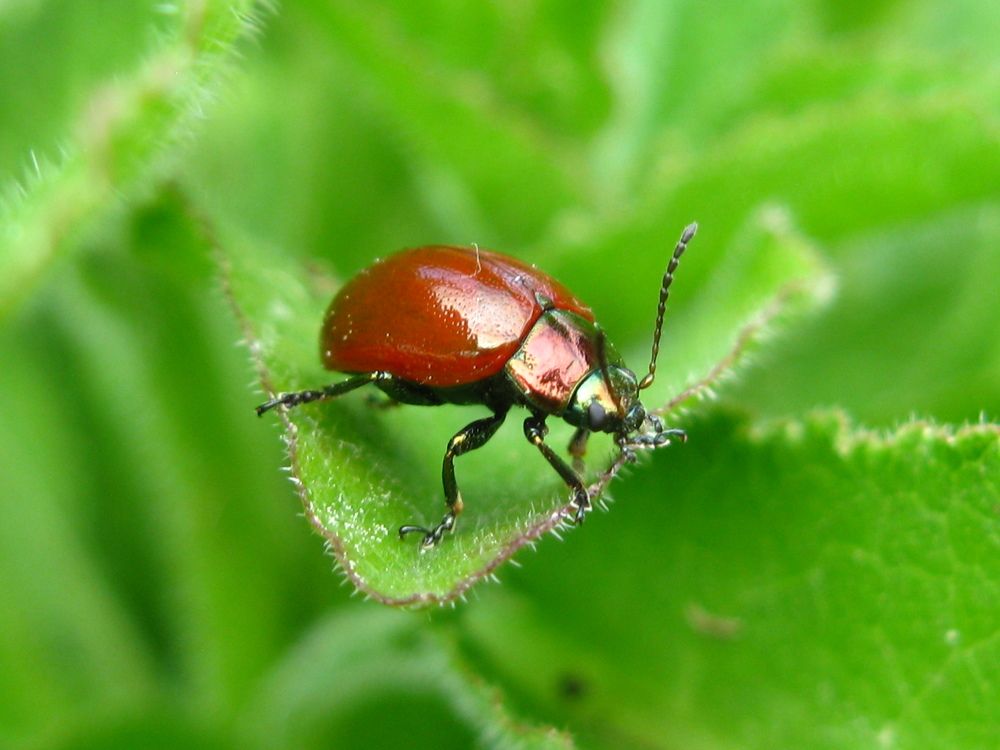 Photograph by Светлана Капитонова