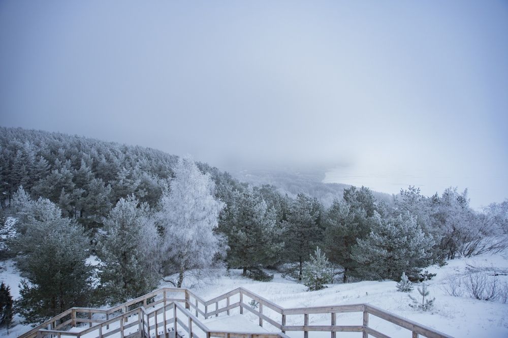 Photograph by Яна Кобелева