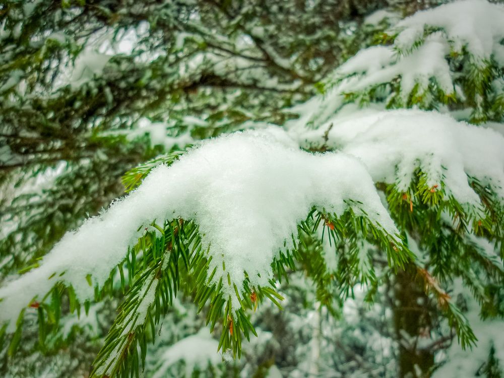 Photograph by Dmitry Chertov