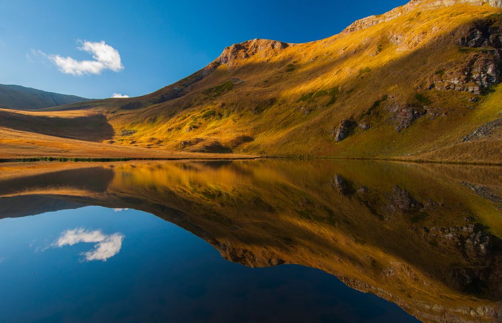 природная симметрия