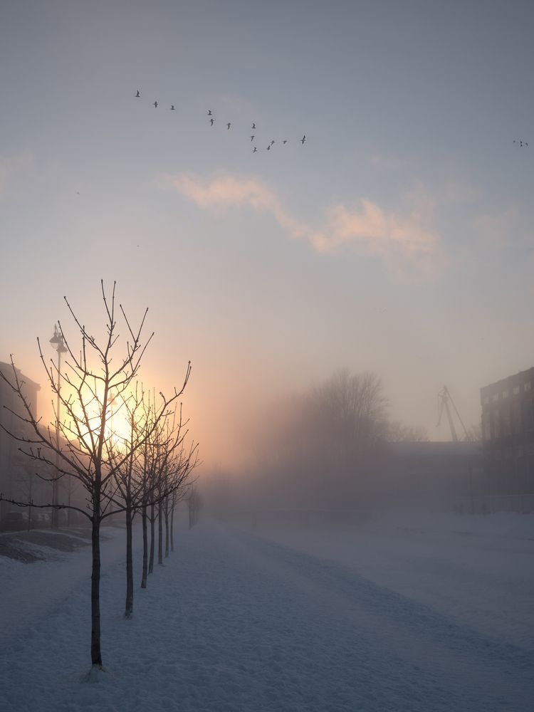 Зимний туман в Питере