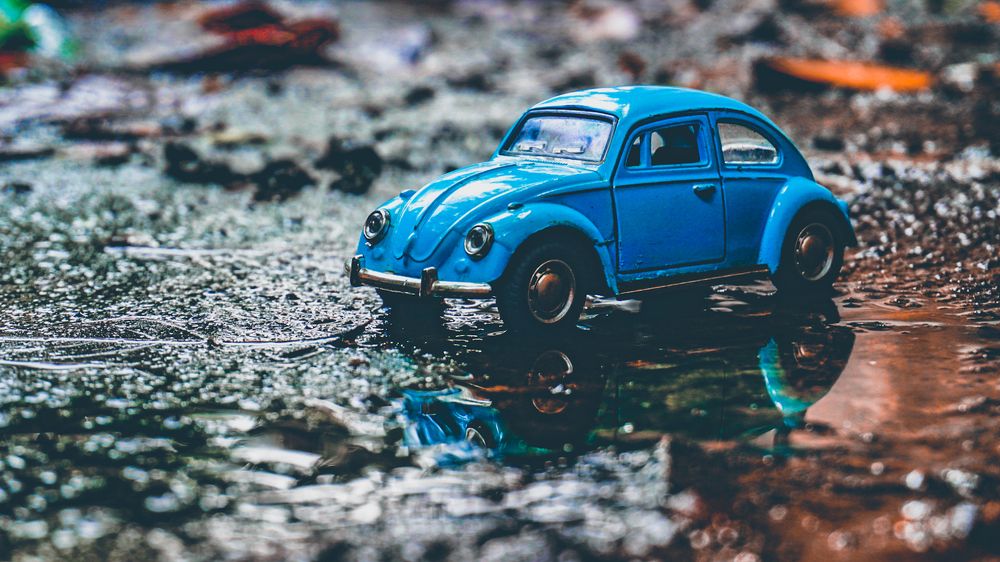 A Beetle in the zone