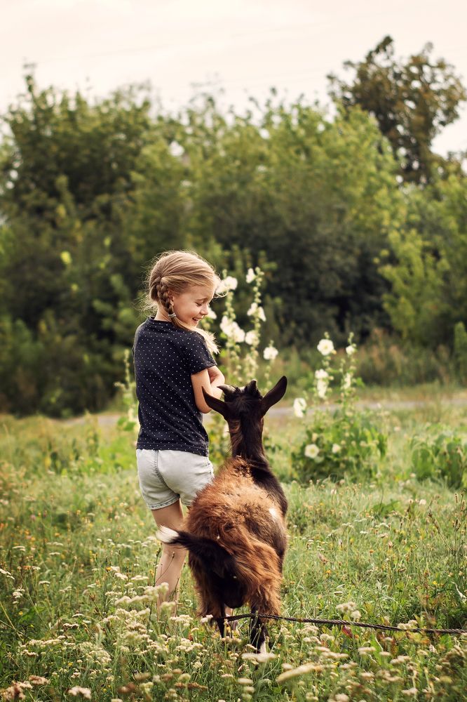 Забодай меня коза